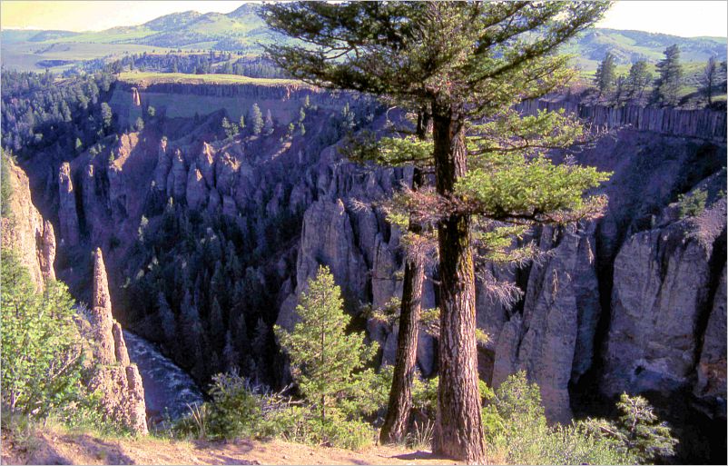 Vacation-1983 Oregon Uncle Jay-119b